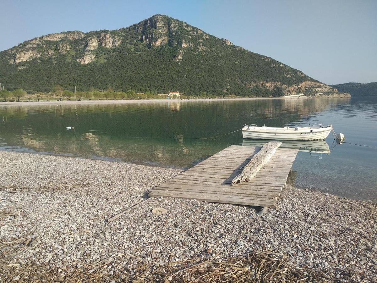 Hotel Theasis Paralia Sergoulas Экстерьер фото